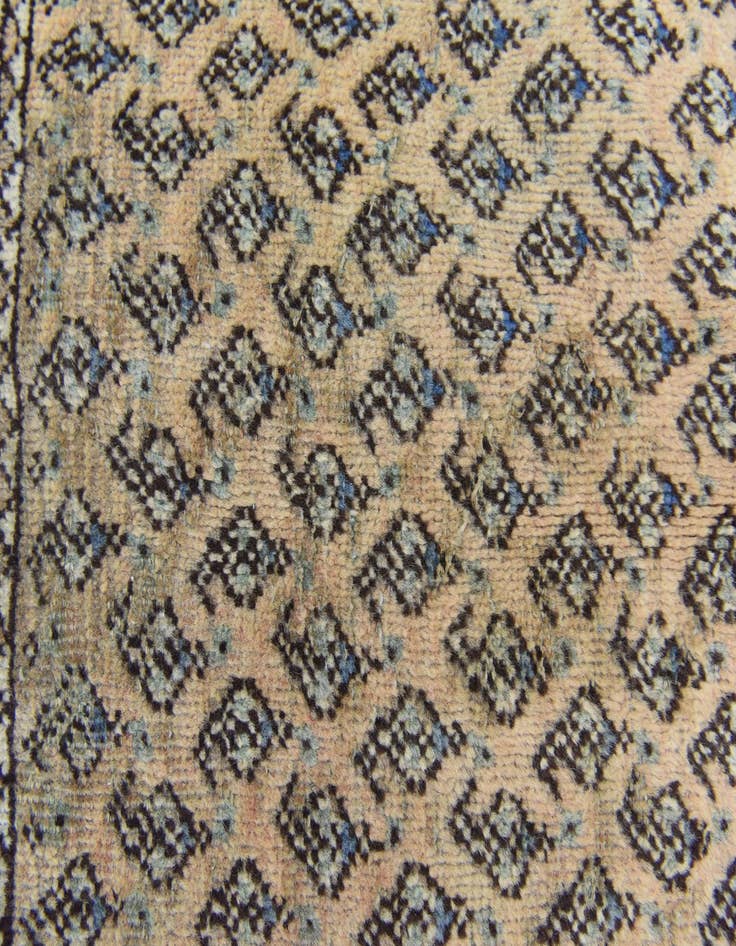 Detail image of 7' x 10' 5 Hand Knotted Botemir Persian Wool Rug