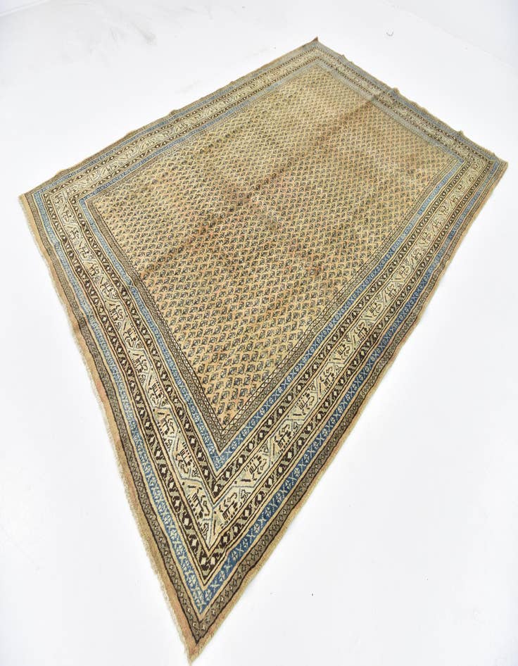 Detail image of 7' x 10' 5 Hand Knotted Botemir Persian Wool Rug