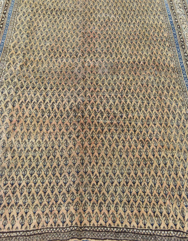 Detail image of 7' x 10' 5 Hand Knotted Botemir Persian Wool Rug