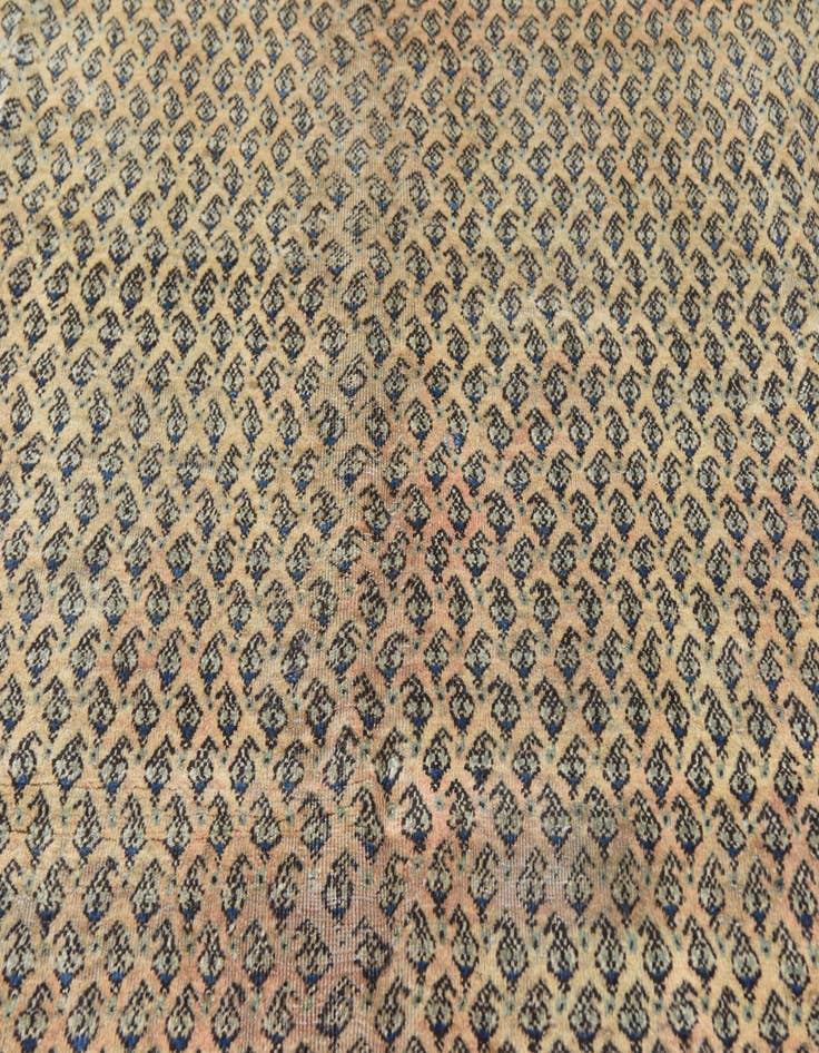 Detail image of 7' x 10' 5 Hand Knotted Botemir Persian Wool Rug