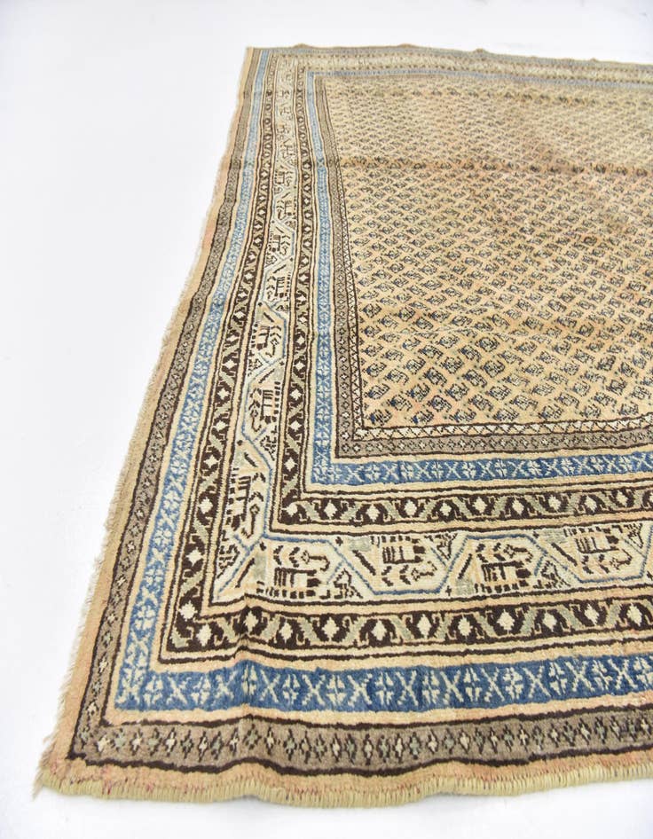 Detail image of 7' x 10' 5 Hand Knotted Botemir Persian Wool Rug