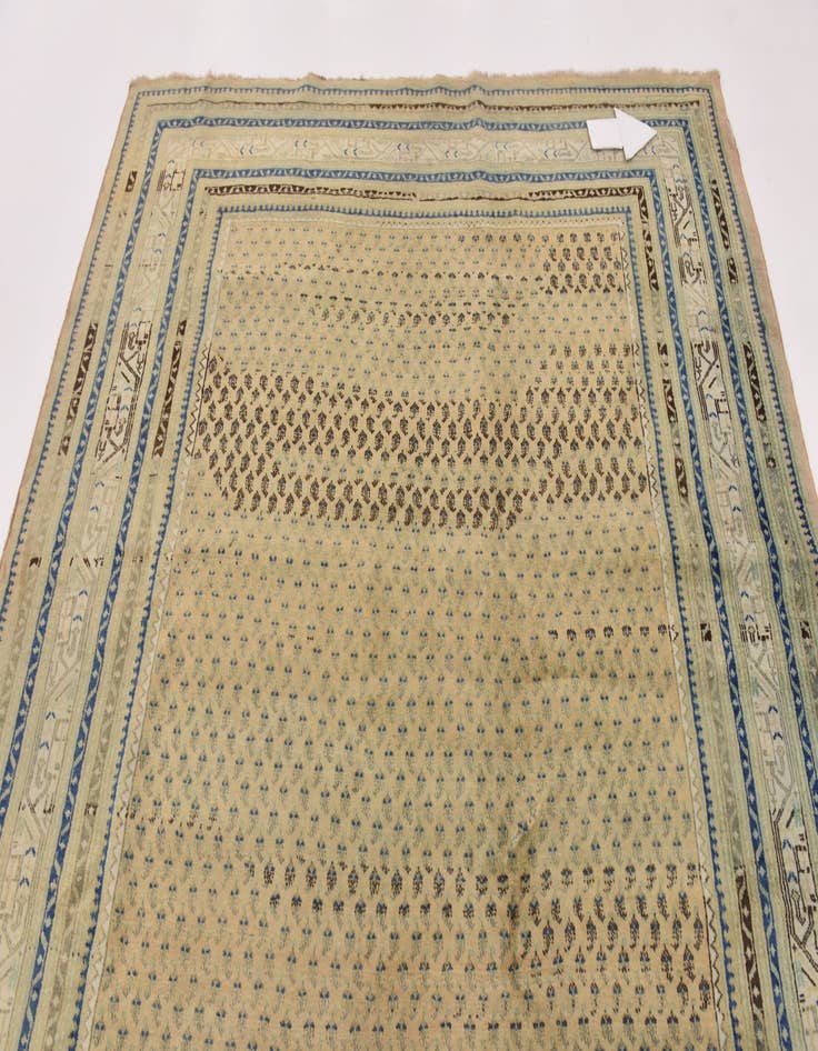 Detail image of 7' 5 x 10' 7  Hand Knotted Botemir Persian Wool Rug