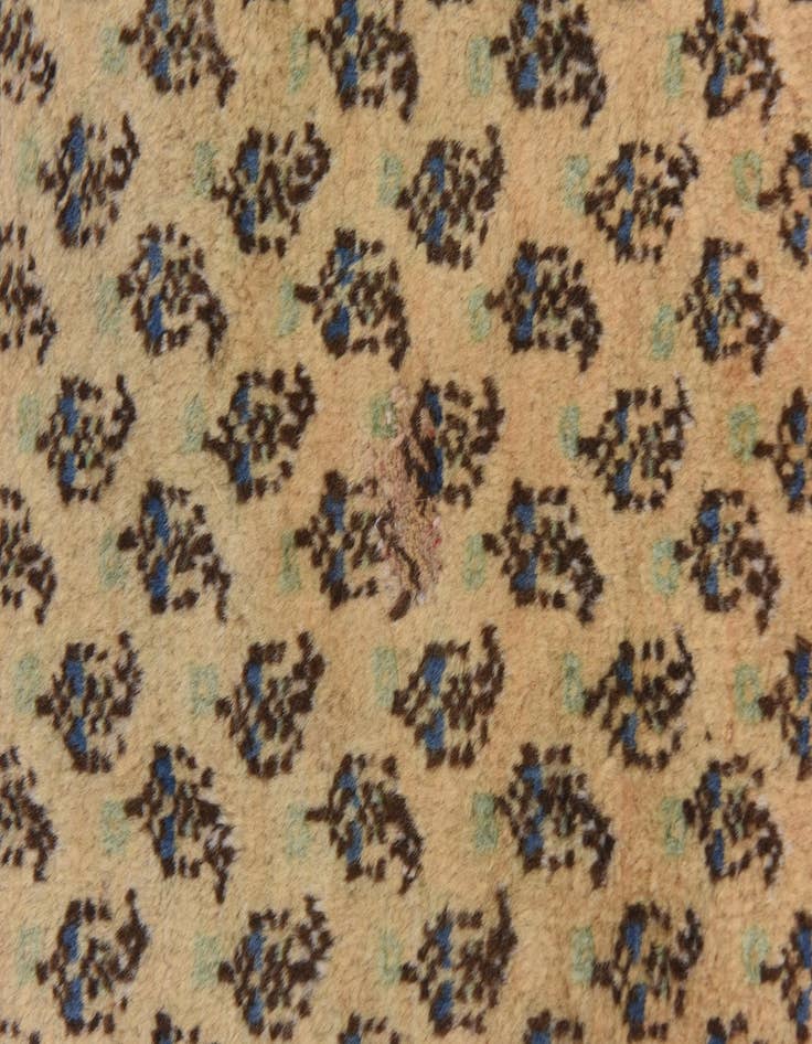 Detail image of 7' 5 x 10' 7  Hand Knotted Botemir Persian Wool Rug