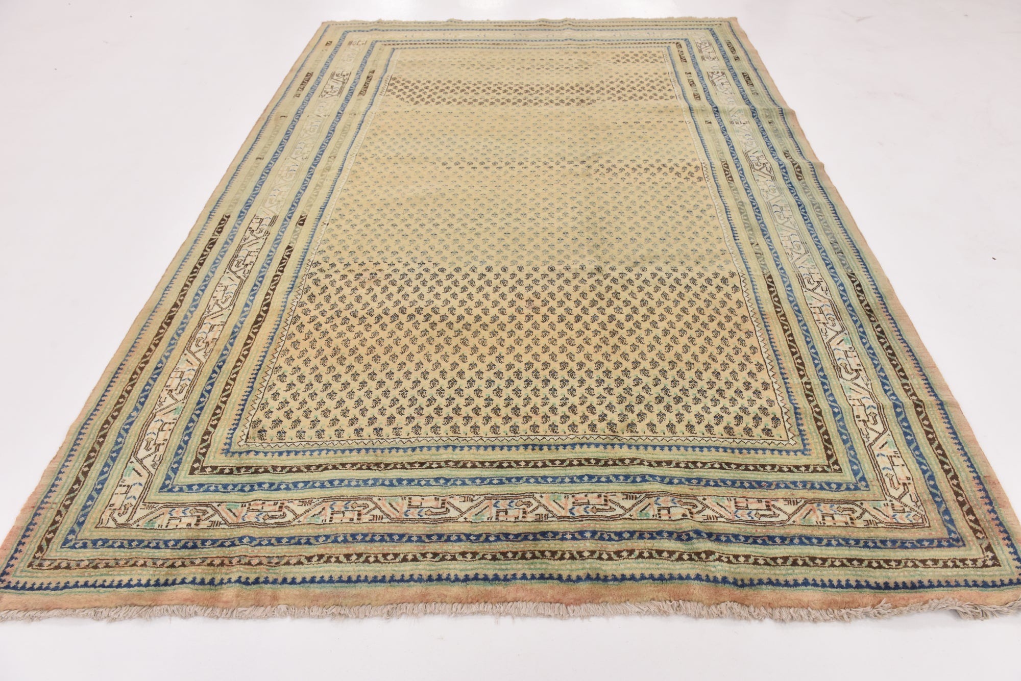 7' 5 x 10' 7 Hand Knotted Botemir Persian Wool Rug