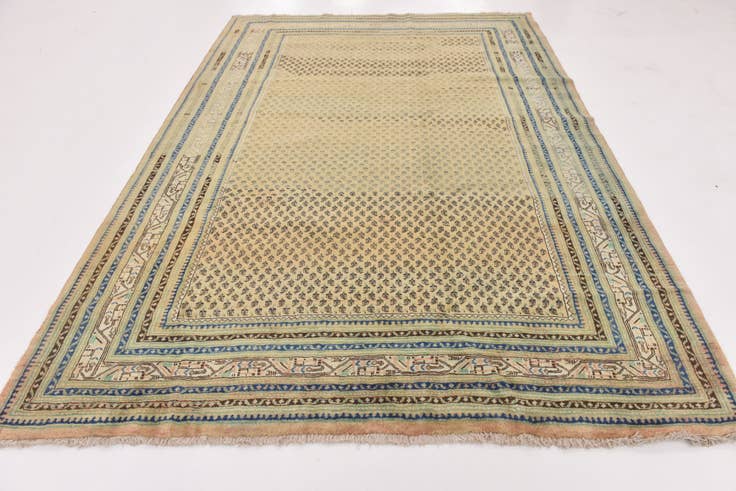 Detail image of 7' 5 x 10' 7 Hand Knotted Botemir Persian Wool Rug