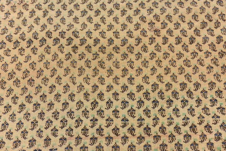 7' 5 x 10' 7 Hand Knotted Botemir Persian Wool Rug