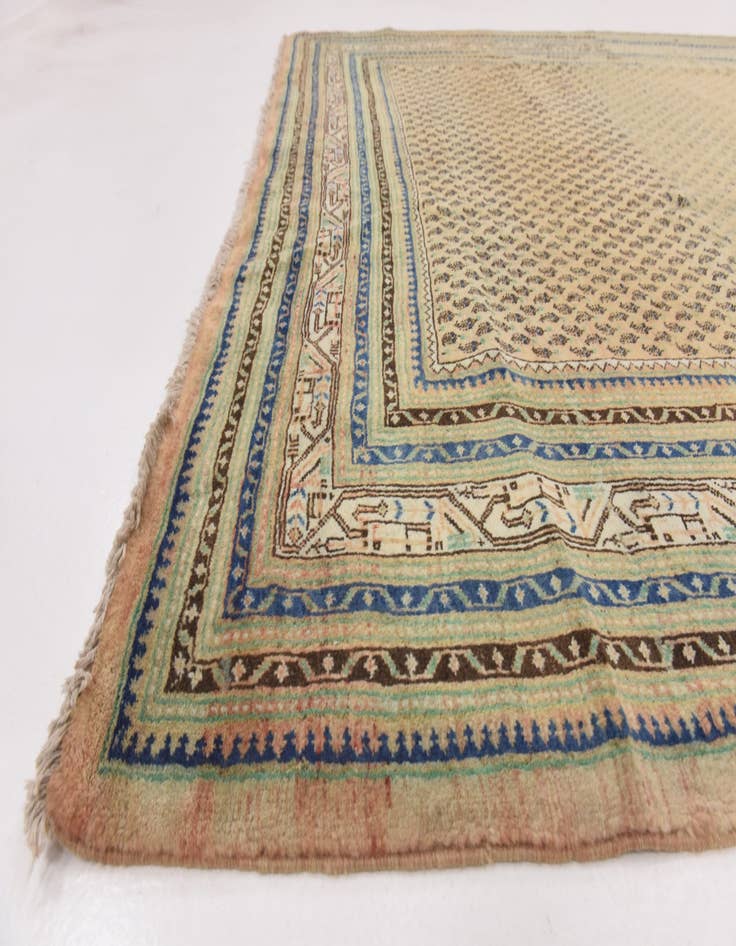 Detail image of 7' 5 x 10' 7  Hand Knotted Botemir Persian Wool Rug