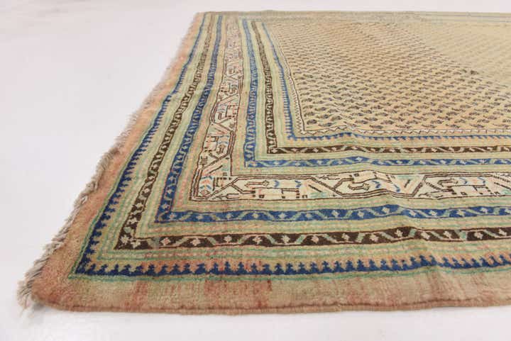7' 5 x 10' 7 Hand Knotted Botemir Persian Wool Rug