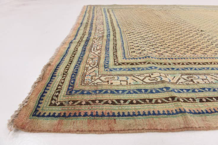 Detail image of 7' 5 x 10' 7 Hand Knotted Botemir Persian Wool Rug