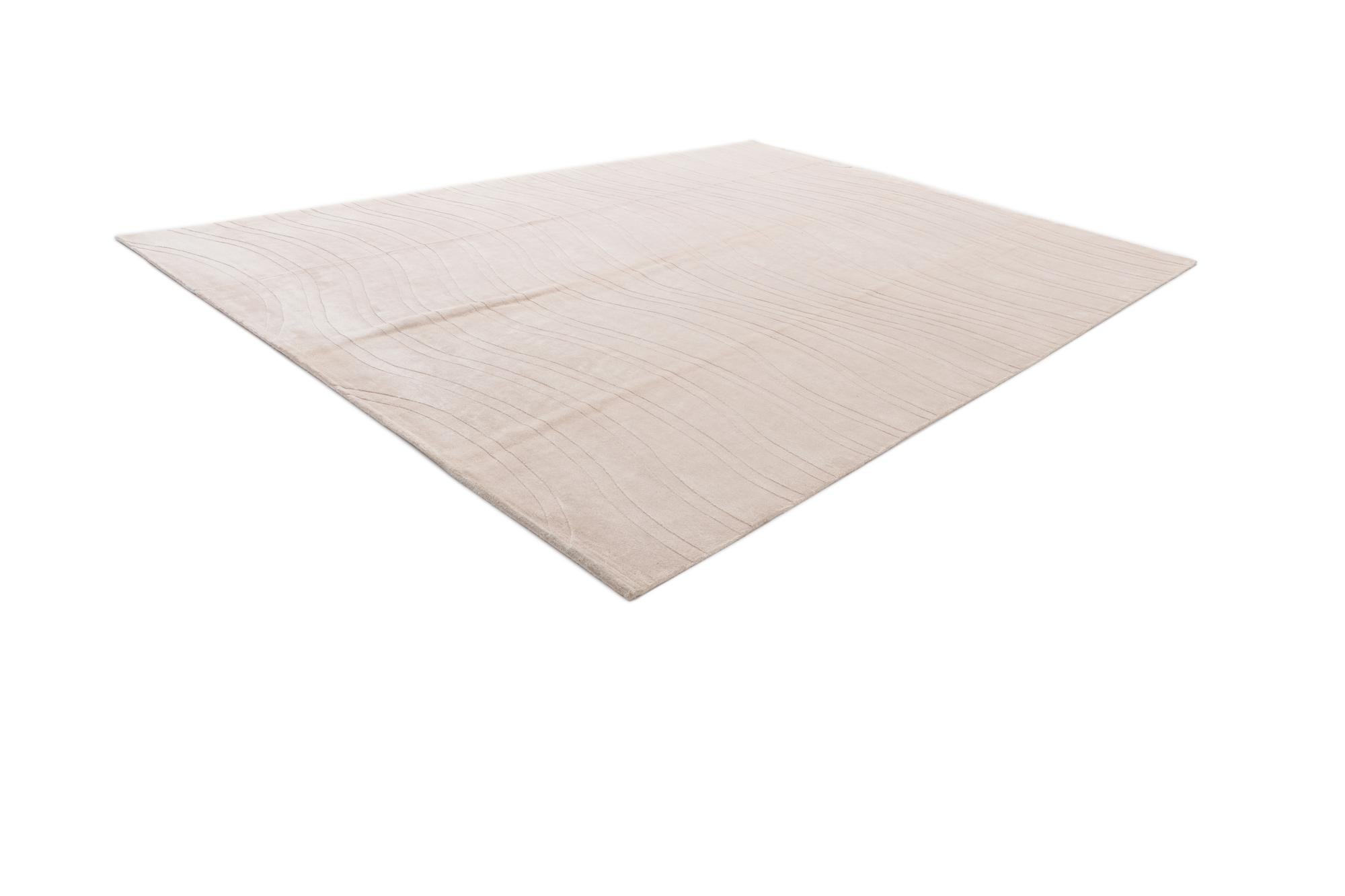 9' 9 x 13' 4 Hand Knotted Darya Wool Rug