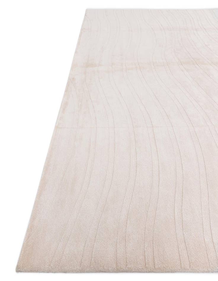 Detail image of 9' 9 x 13' 4  Hand Knotted Darya Wool Rug