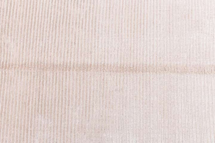 4' 11 x 6' 7 Hand Knotted Darya Wool Rug