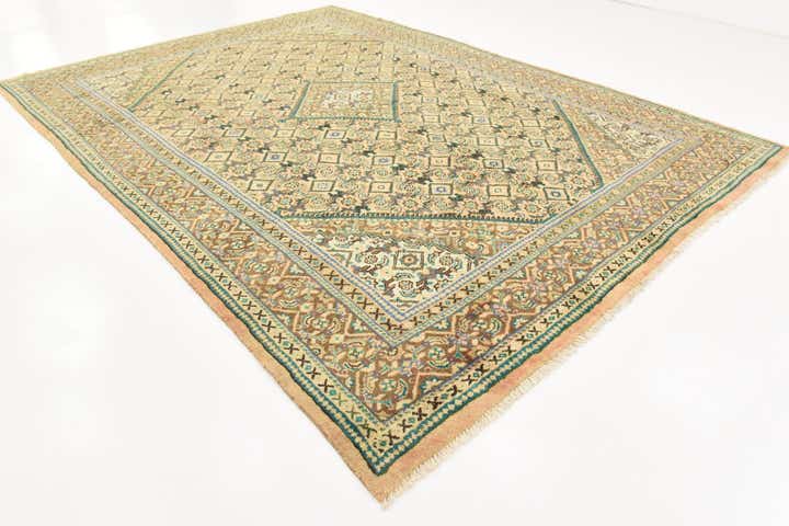 9' 9 x 13' 5 Hand Knotted Farahan Persian Wool Rug