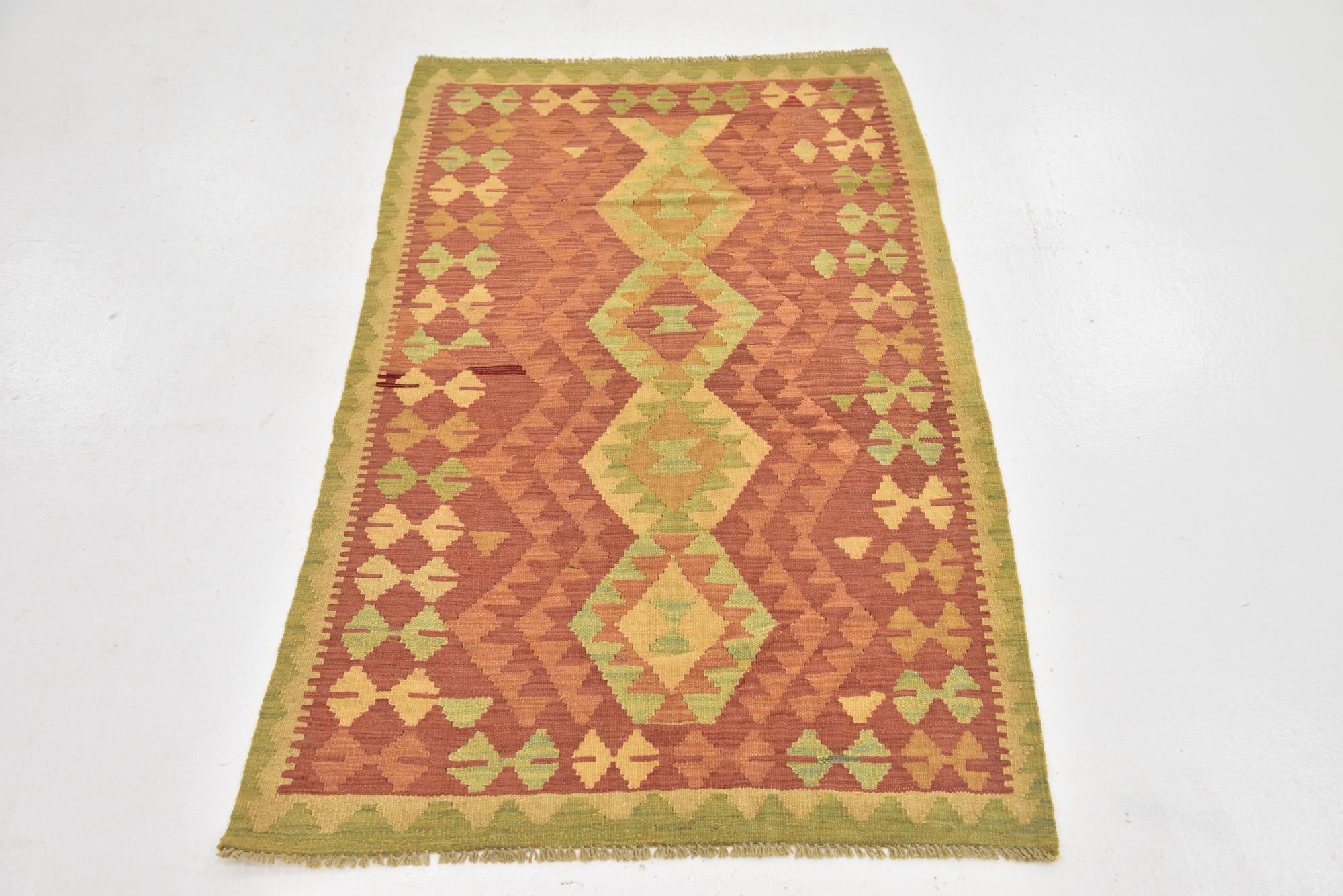 2' 10 x 4' 6 Hand Woven Kilim Waziri Wool Rug