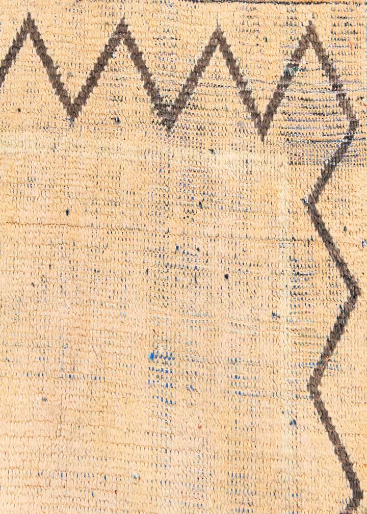 9' x 11' 8 Hand Knotted Moroccan Wool Rug