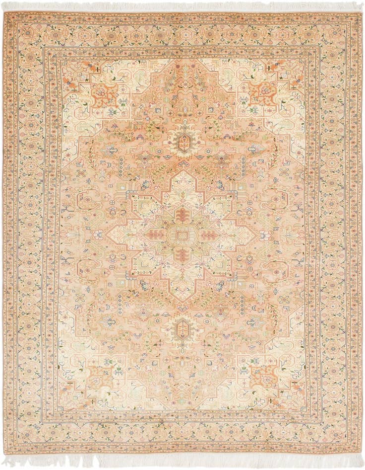 Detail image of 6' 7 x 10' Hand Knotted Tabriz Persian Rug