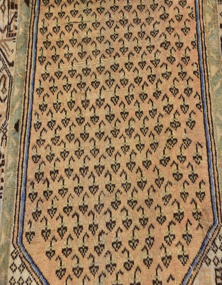 Detail image of 3' 8 x 10' 4 Hand Knotted Botemir Persian Wool Runner Rug