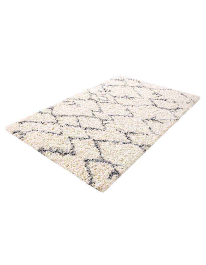 5' x 8' Infinity Shag Rug