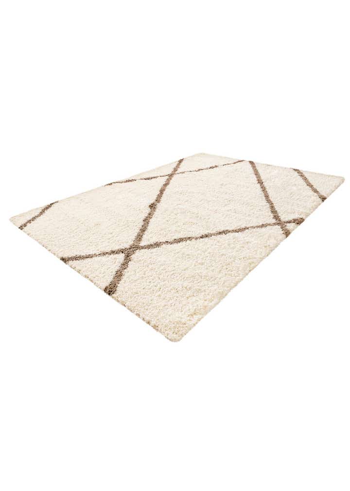 10' x 14' Infinity Shag Rug