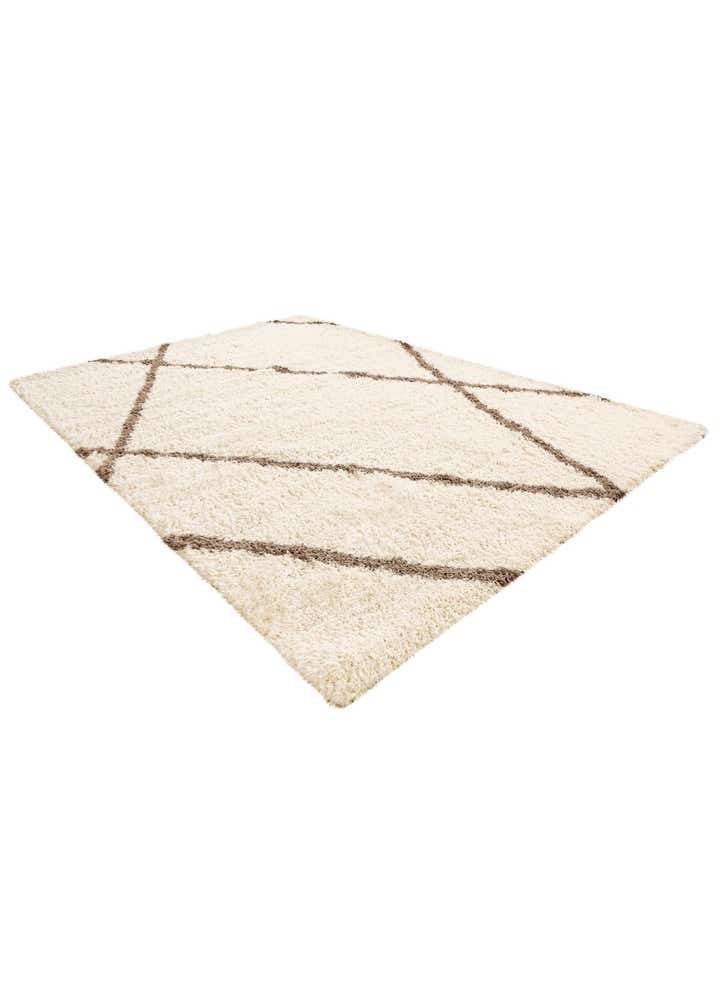 10' x 14' Infinity Shag Rug