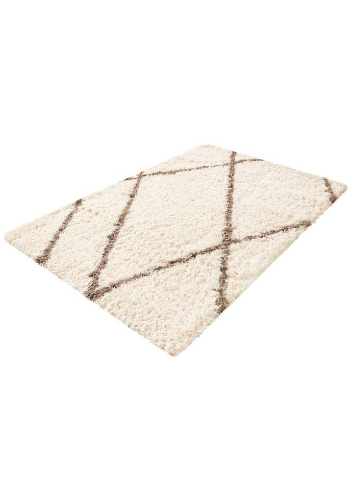 5' x 8' Infinity Shag Rug