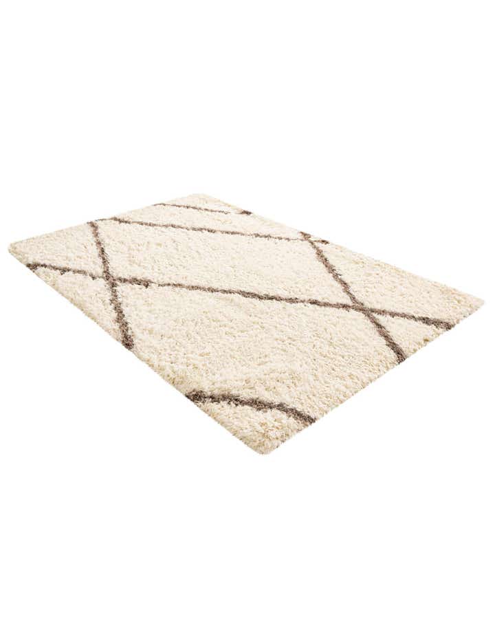 5' x 8' Infinity Shag Rug