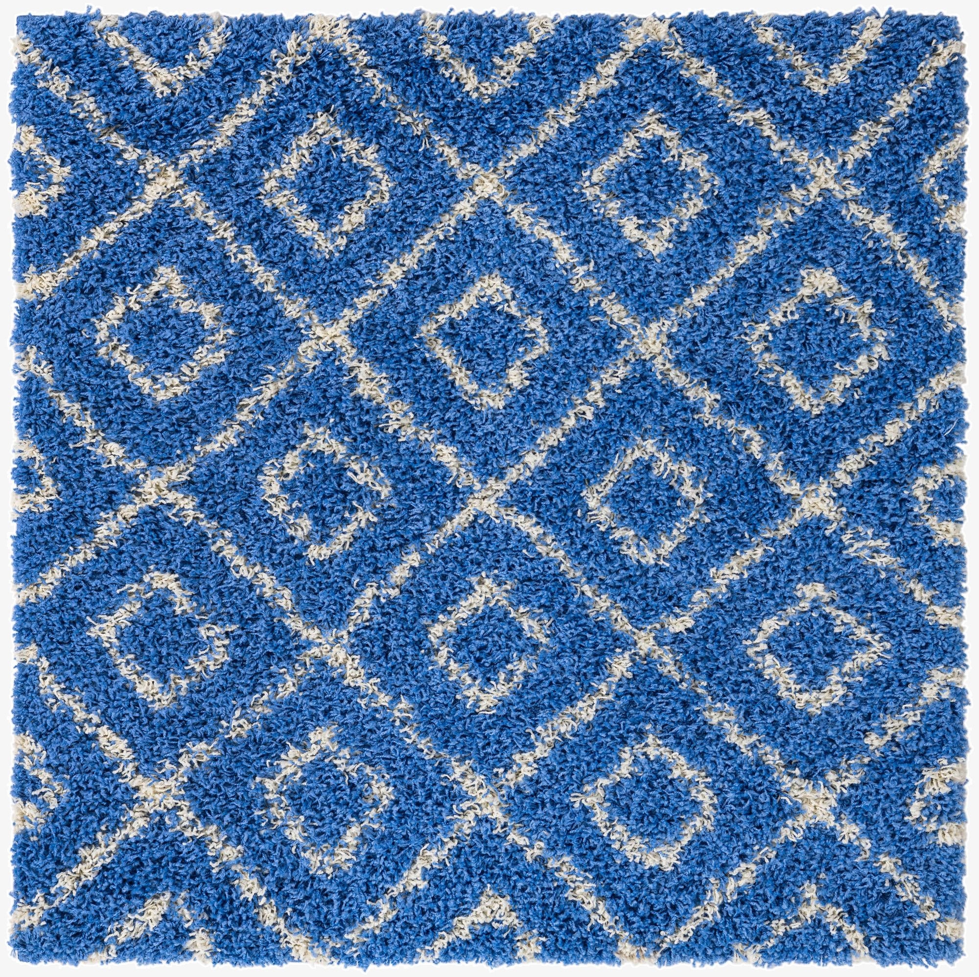 4' 1 x 4' 1 Trellis Shag Square Rug