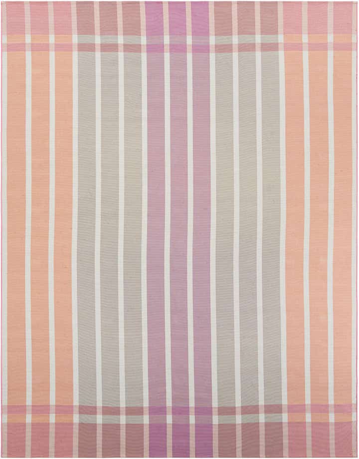 275cm x 365cm Easy-Clean Ribbon Indoor / Outdoor Rug