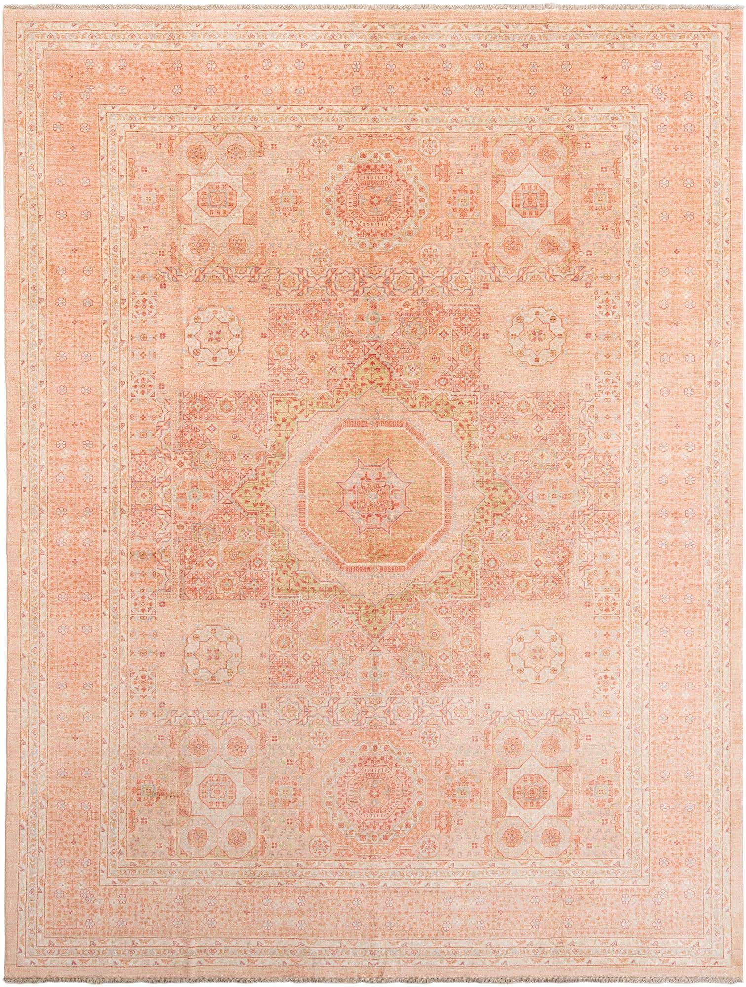 10' 1 x 13' 3 Hand Knotted Amina Rug