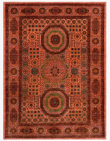 5' x 6' 8 Amina Rug