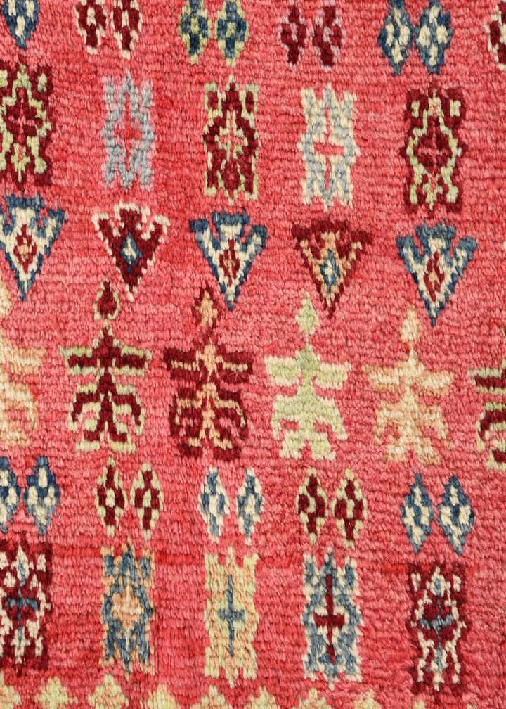 5' x 7' 7 Hand Knotted Ariana Ziegler Rug