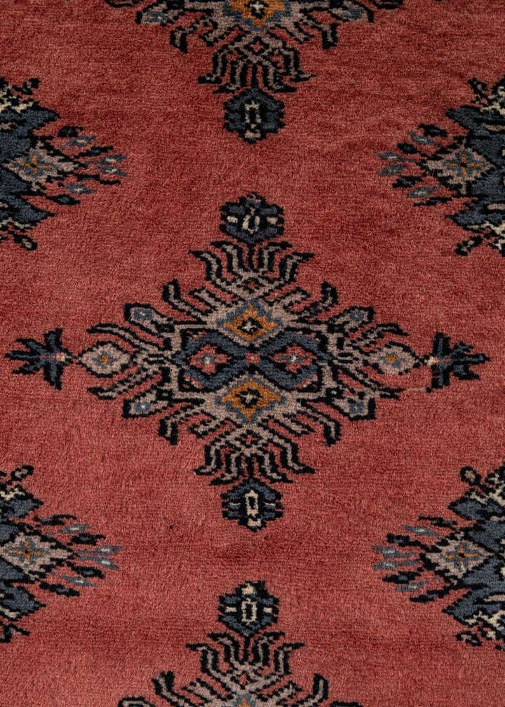 4' 1 x 6' 1 Hand Knotted Bokhara Oriental Wool Rug