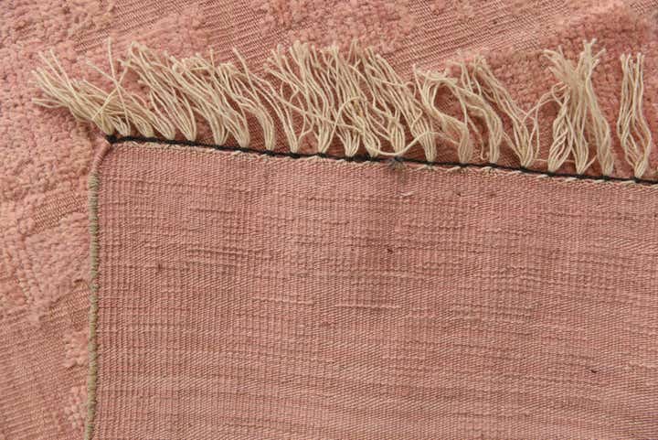 8' 10 x 12' 6 Hand Knotted Darya Wool Rug