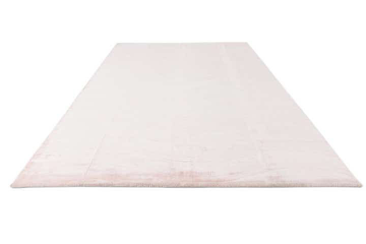 250cm x 350cm Handgeknüpft Darya Wolle Teppich
