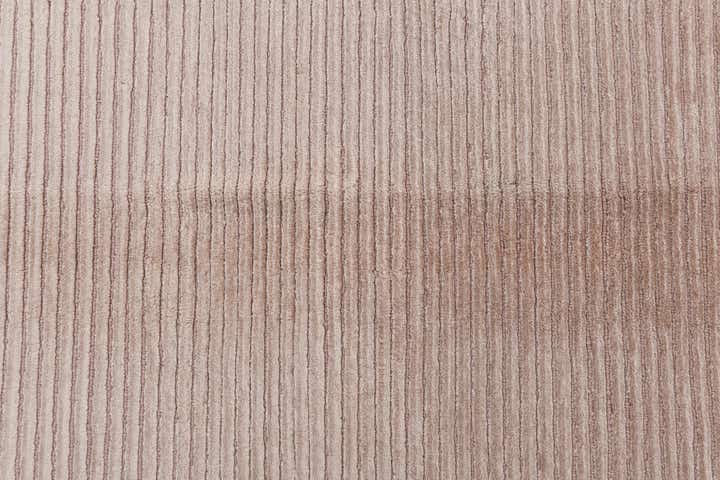 9' 8 x 13' 4 Hand Knotted Darya Wool Rug