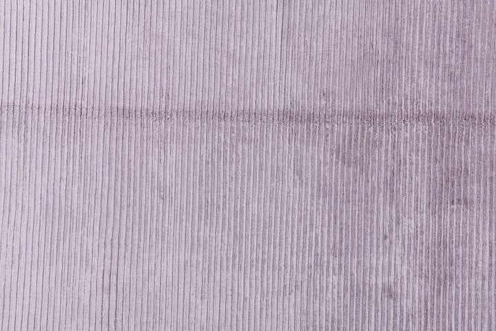 5' 7 x 8' Darya Rug
