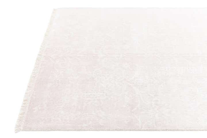 4' x 6' Darya Rug