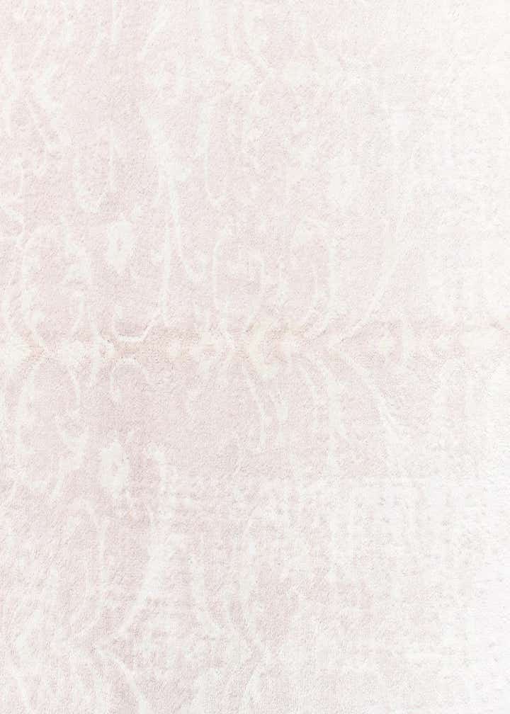 4' x 6' Darya Rug