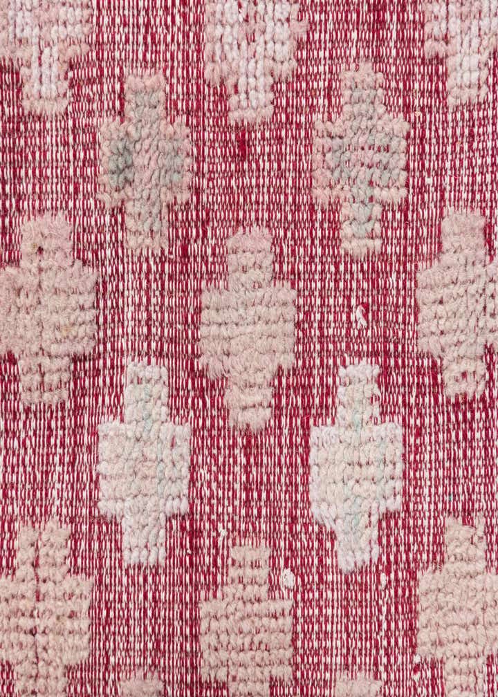 8' 10 x 12' Hand Knotted Darya Wool Rug