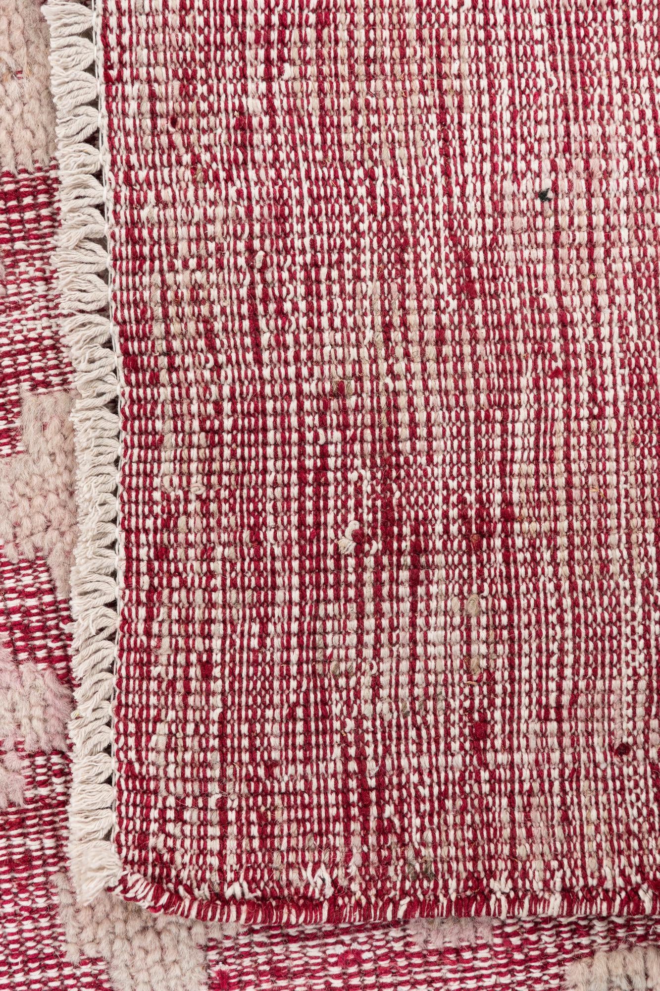 8' 10 x 12' Hand Knotted Darya Wool Rug