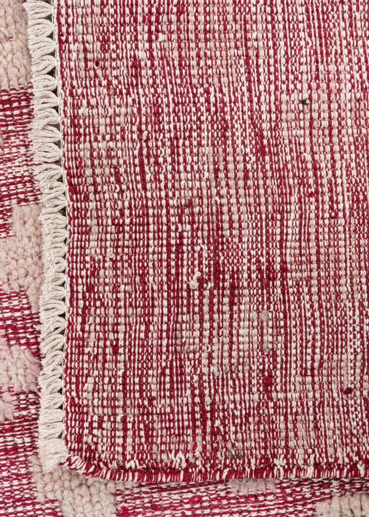 8' 10 x 12' Hand Knotted Darya Wool Rug