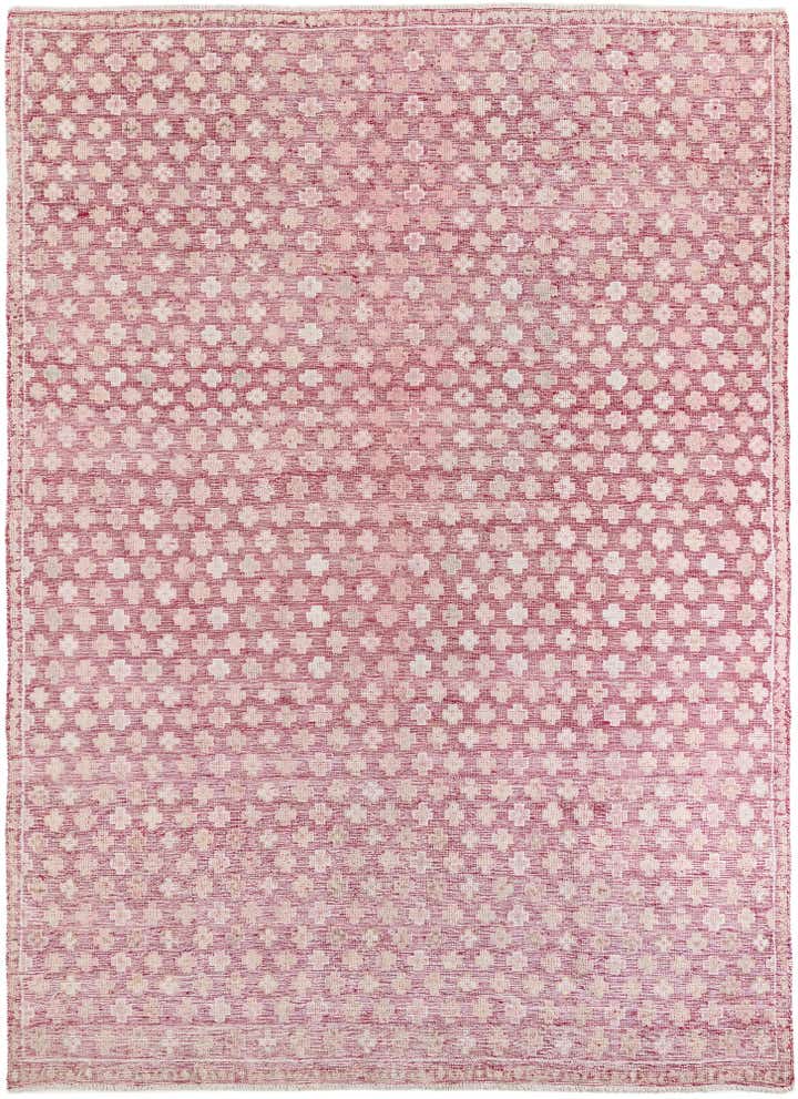 8' 10 x 12' Hand Knotted Darya Wool Rug