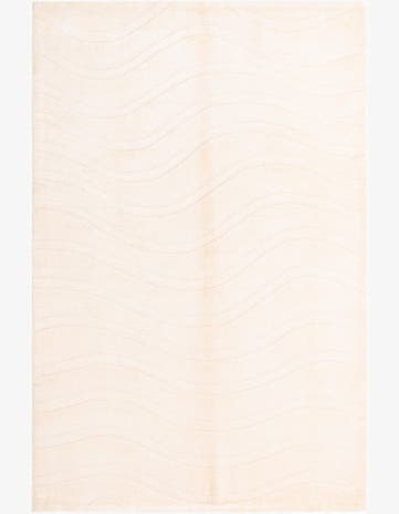 4' x 5' 11 Darya Rug