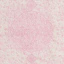 Rug Pink Swatch link