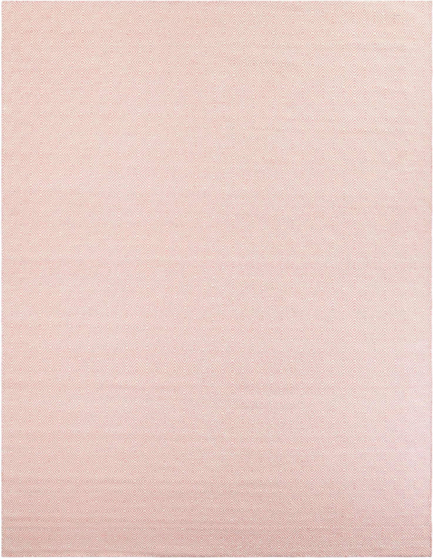10' x 14' 1 Hand Woven Geo Trellis Flatweave Rug