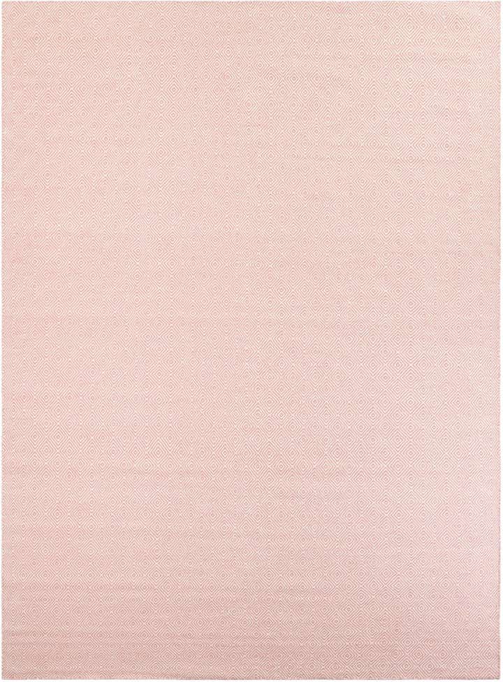 10' x 14' 1 Hand Woven Geo Trellis Flatweave Rug