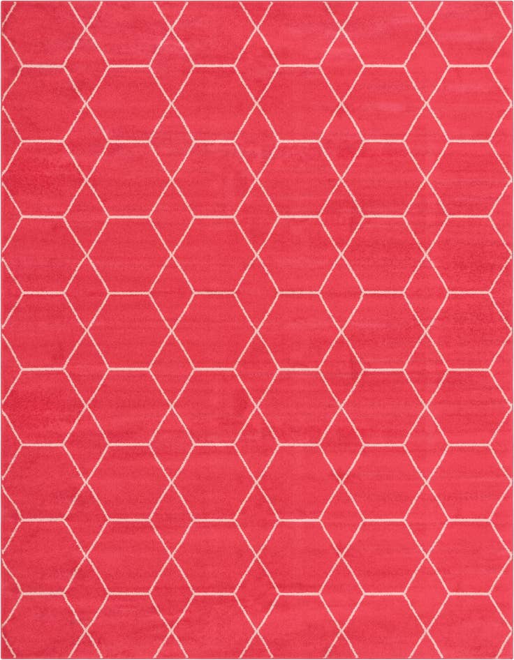 Detail image of 10' x 14' Lattice Frieze Rug