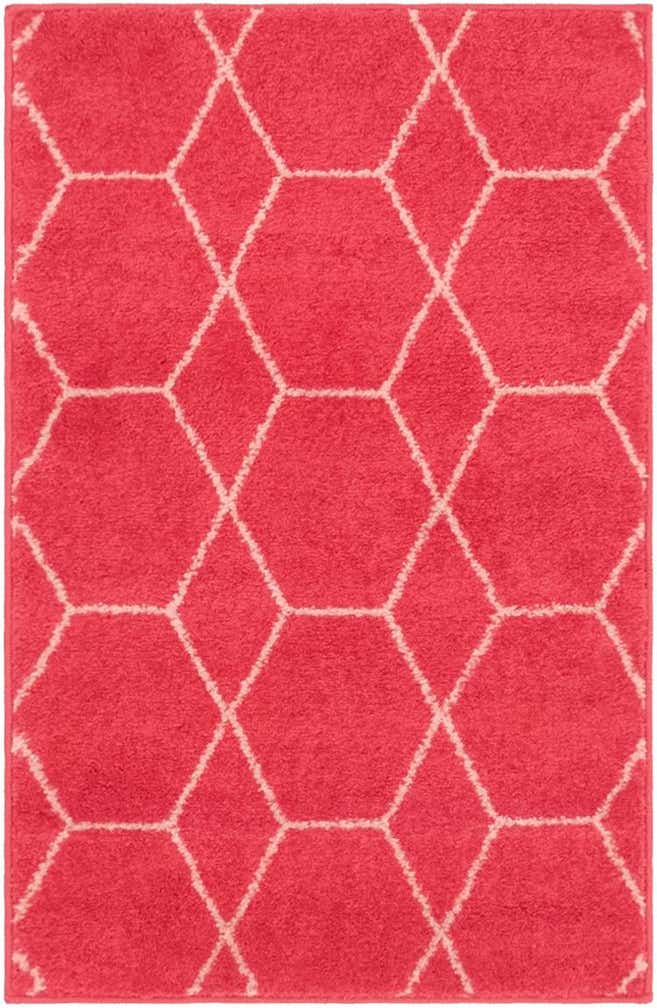 2' x 3' Lattice Frieze Rug