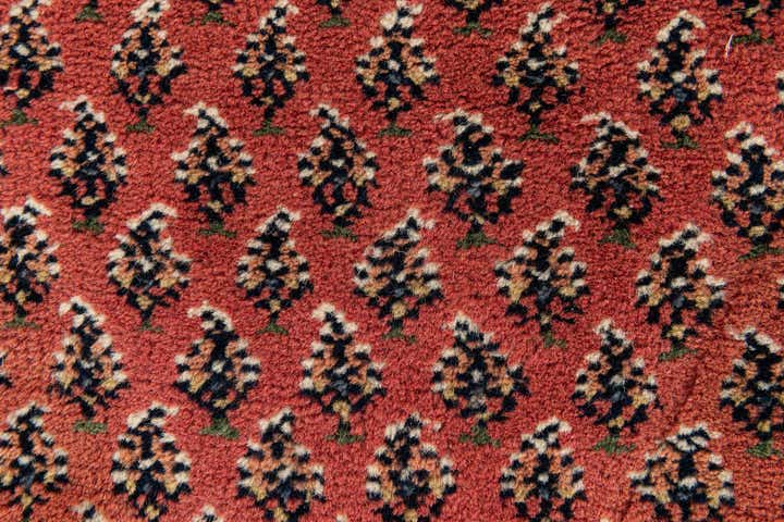 3' 11 x 6' Hand Knotted Mir Wool Rug
