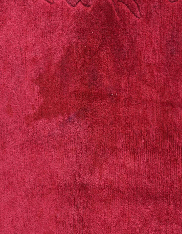 Detail image of 3' 1 x 5' 1  Hand Knotted Nepal Wool Rug